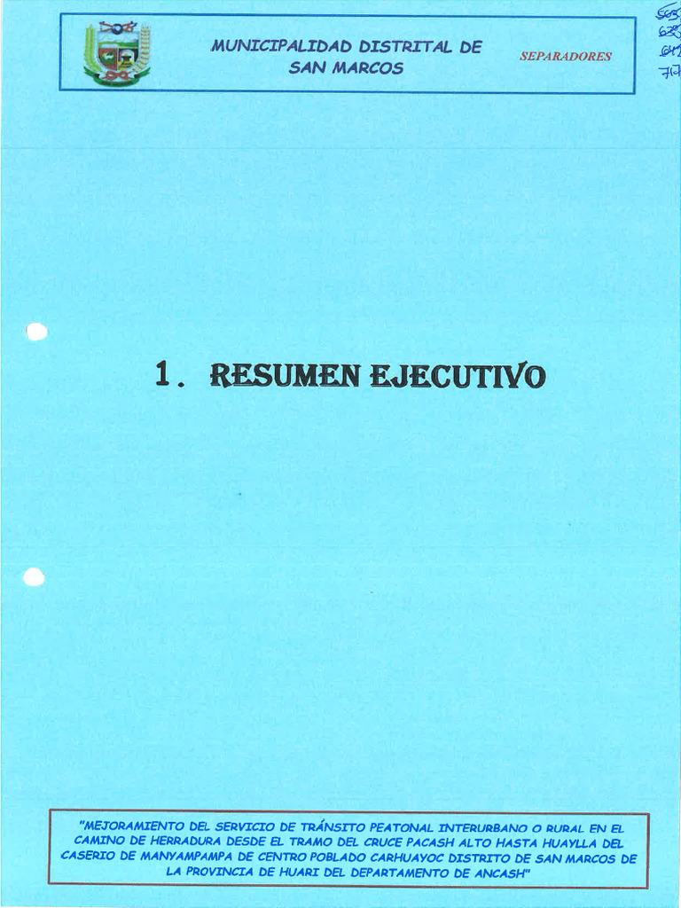 Resumen Ejecutivo - 20241226 - 192244 - 034 | PDF
