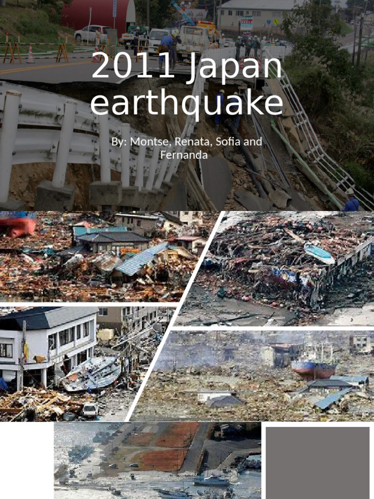 2011 Japan Earthquake | PDF