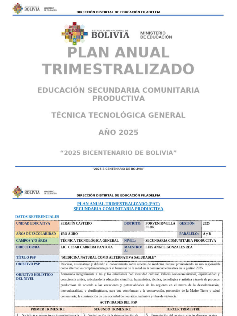 Plan Anual Educación Secundaria 2025 | PDF | Iniciativa empresarial ...