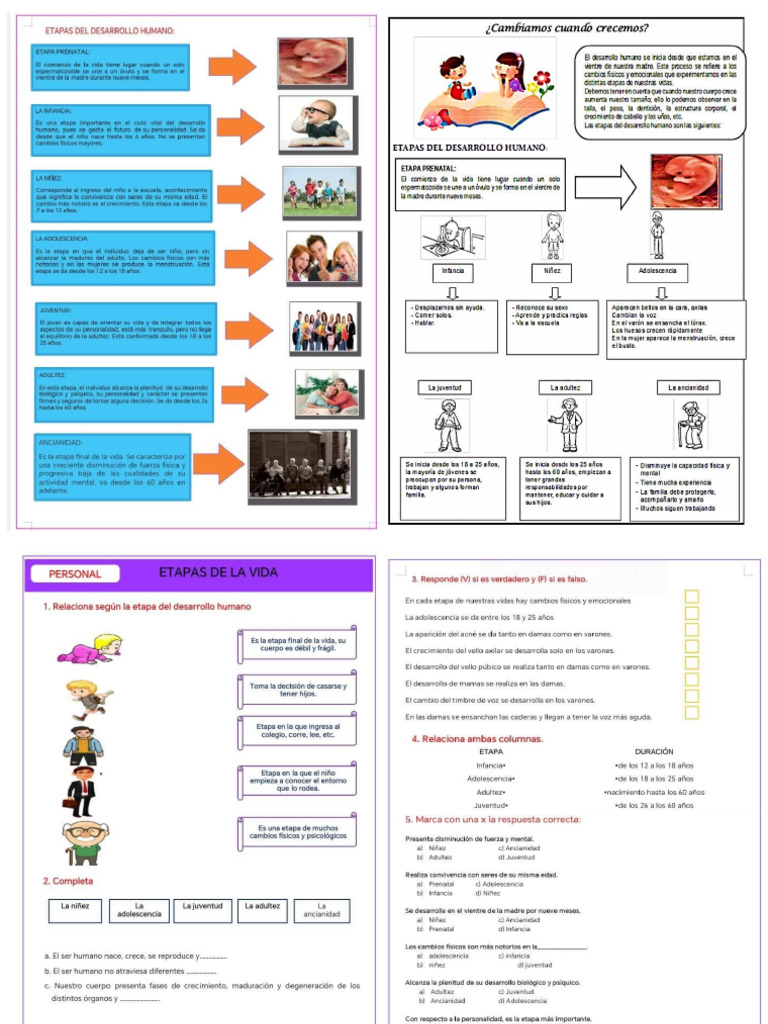 Ficha 2 | PDF