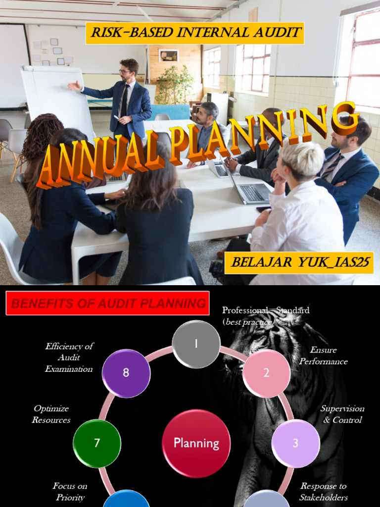 RBA Planning - IAS | PDF | Audit | Internal Audit