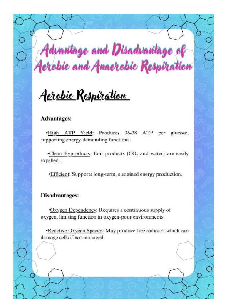Aerobic & Anaerobic Respiration | PDF