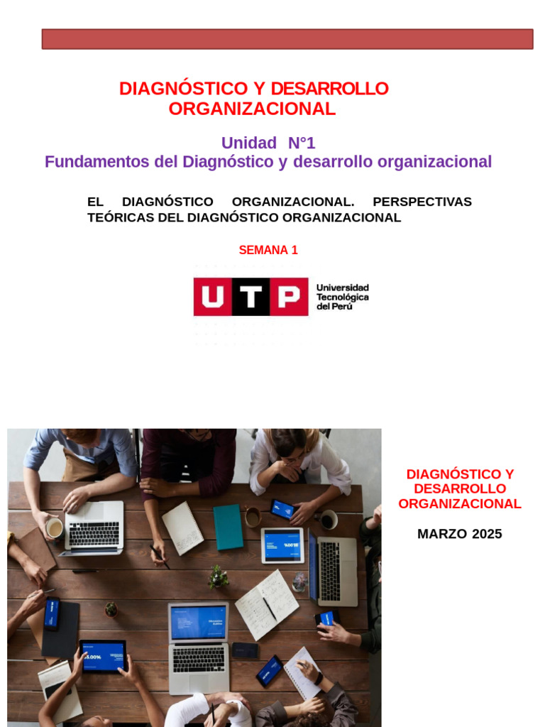 Diagnóstico y Desarrollo Organizacional | PDF | Business | Método ...