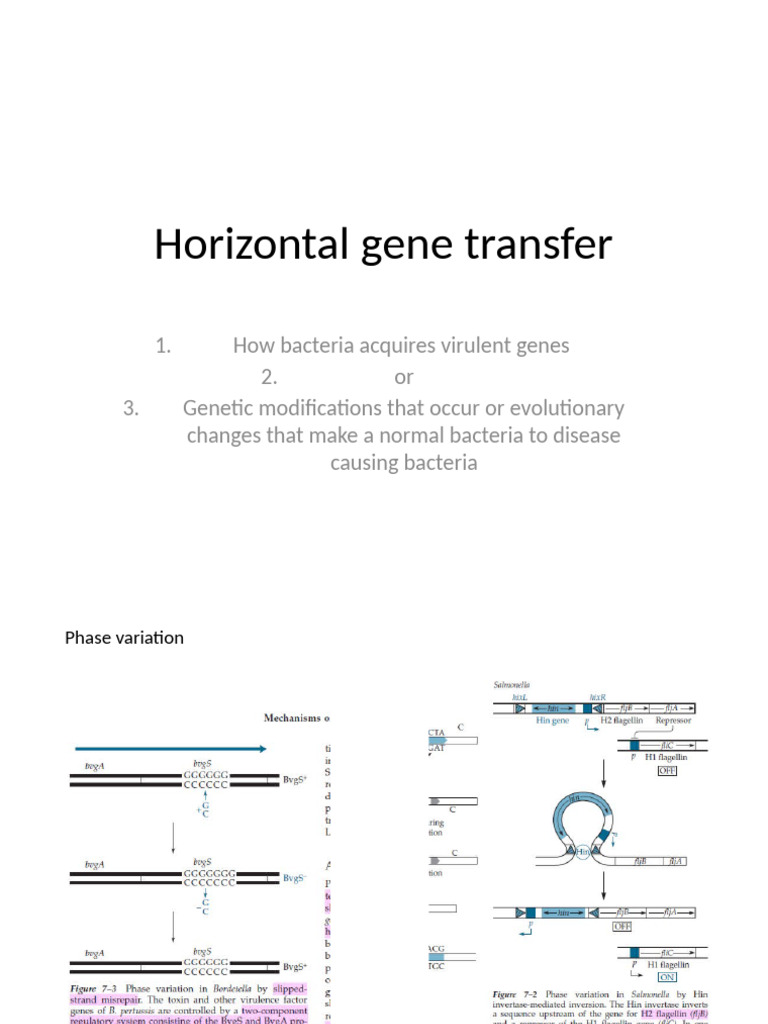 Horizontal Gene Transfer in Bacteria | PDF
