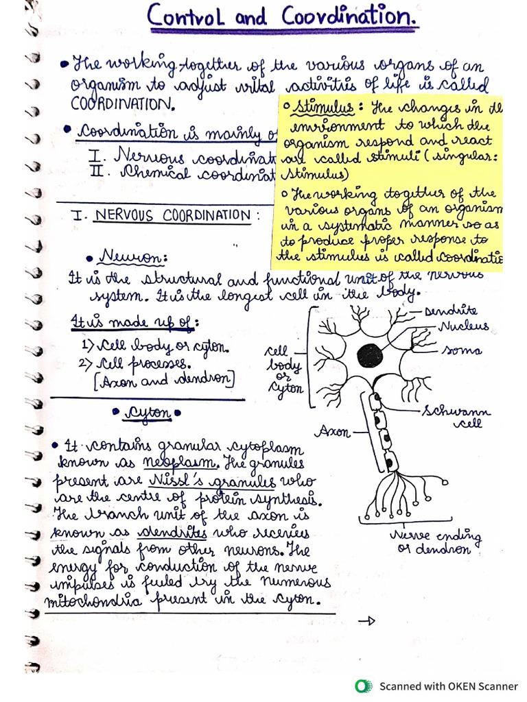 Basics of Neural and Endocrine System in Plants and Animals | PDF