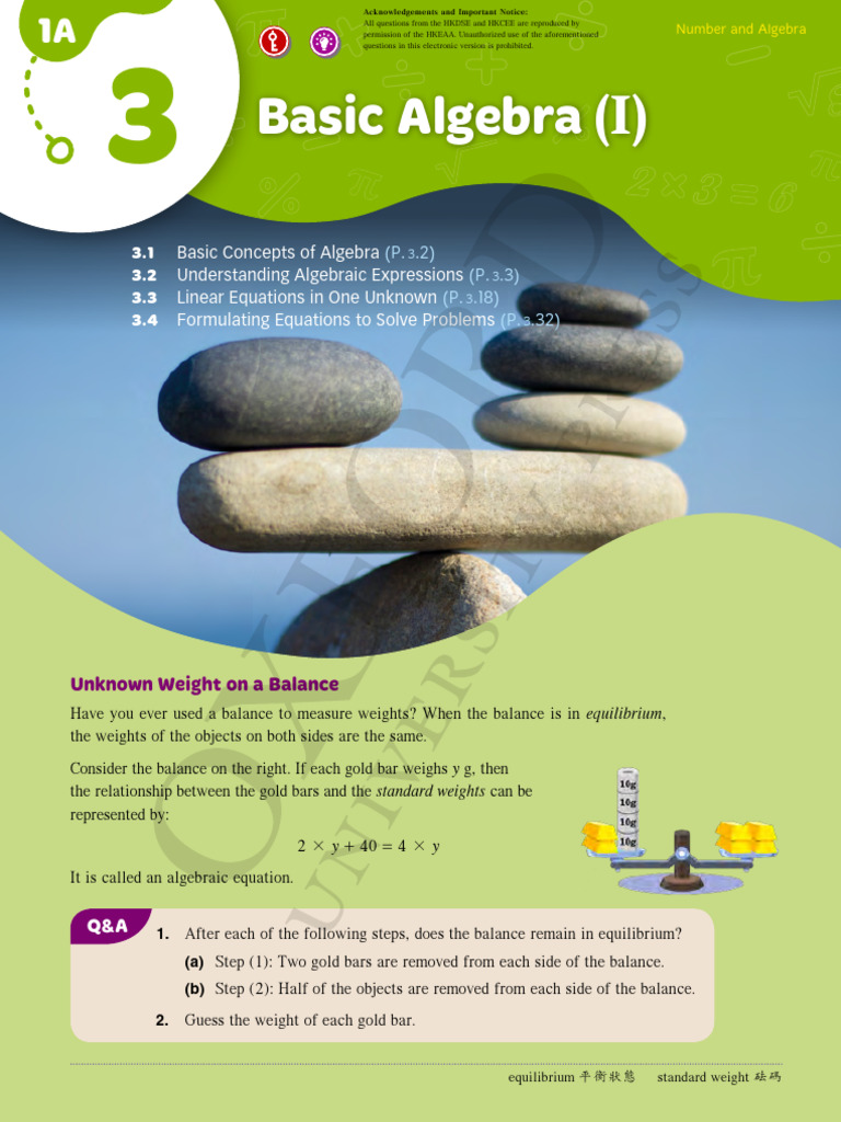Introduction to Basic Algebra Concepts | PDF | Equations | Algebra