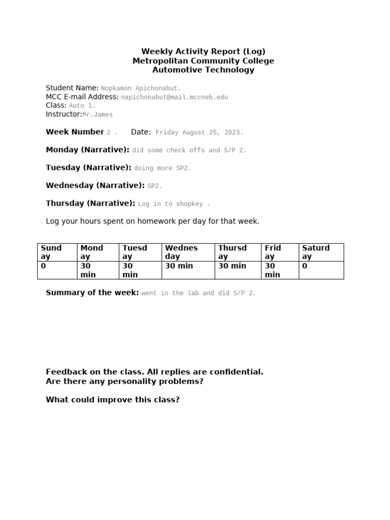 Weekly+Activity+Report+Log+Template+23+SP 1 | PDF