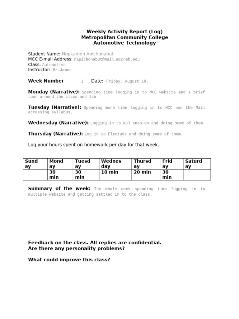 Weekly+Activity+Report+Log+Template+23+SP | PDF