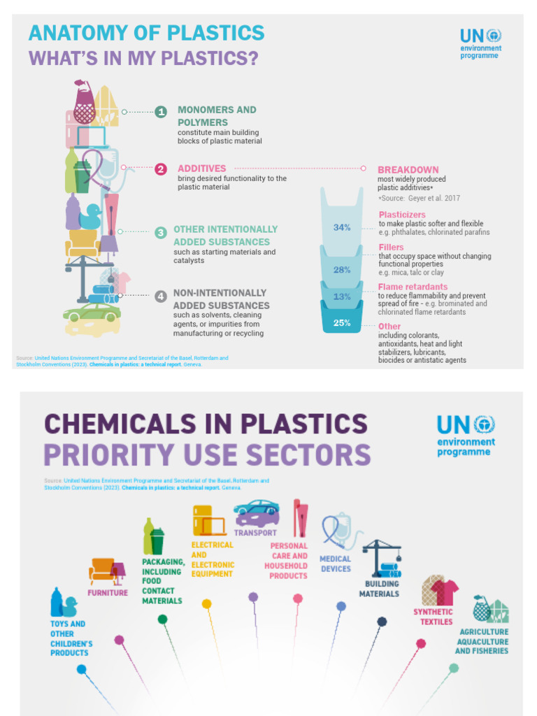 Chemicals in Plastics: Risks and Solutions | PDF | Plastic | Recycling