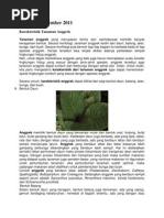 Download anggrek by valisjava304 SN85480049 doc pdf