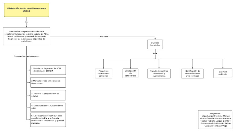 Técnica FISH: Pasos y Aplicaciones | PDF | Hibridación in situ ...