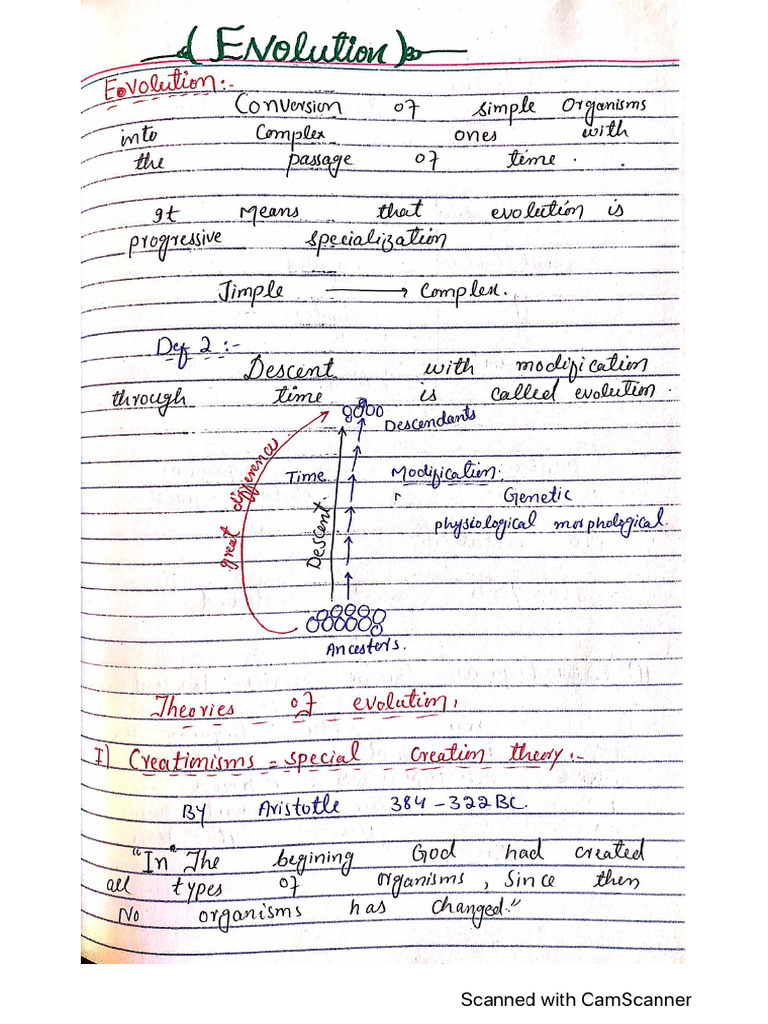 Evolution | PDF