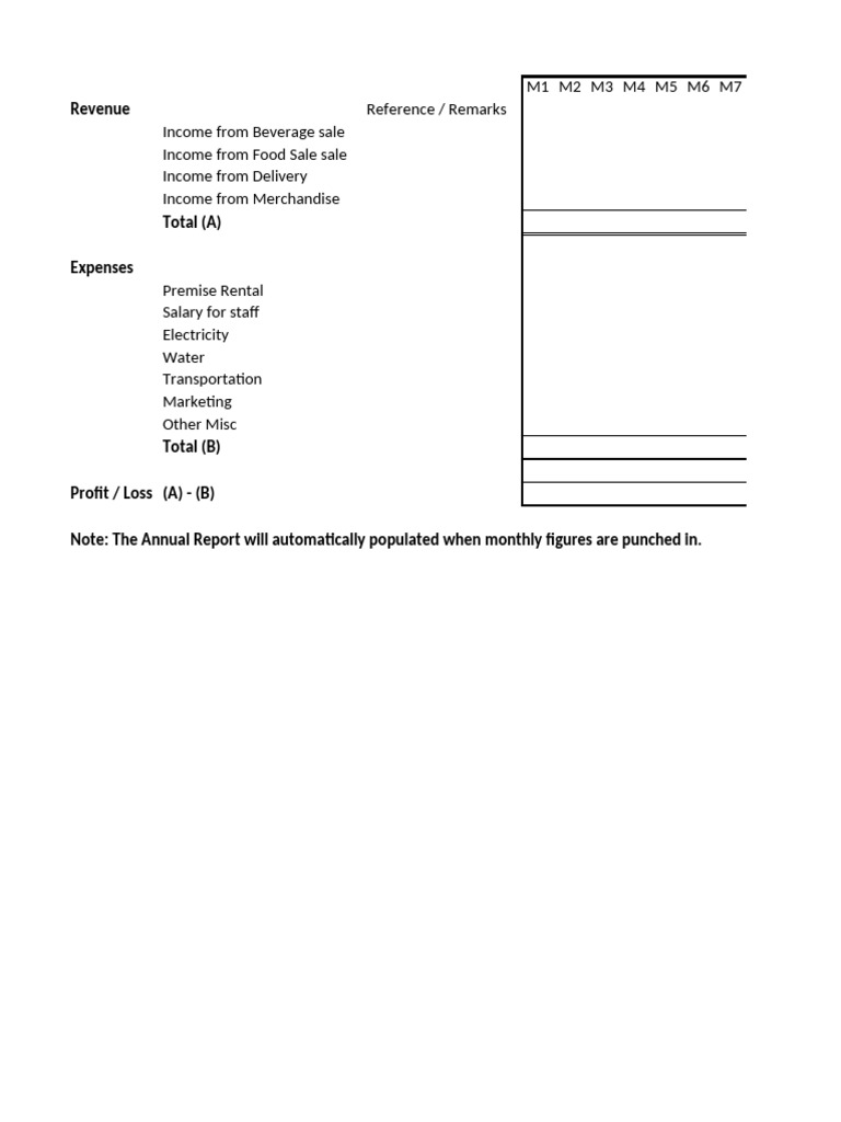 P&L Projection Report | PDF