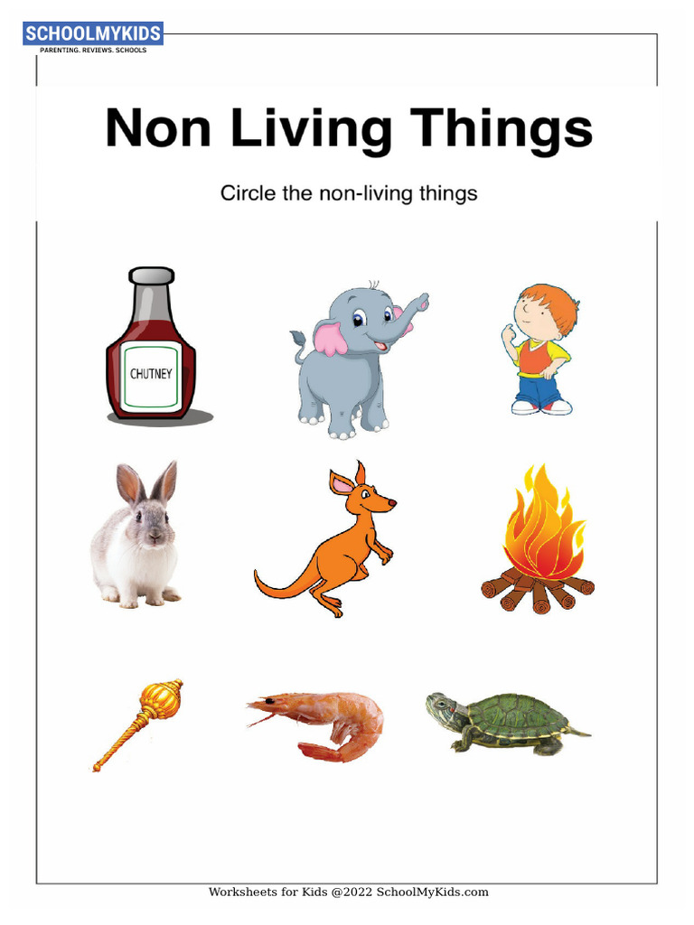 sorting-non-living-things-w7001268 | PDF