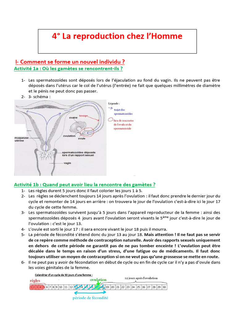 Trajet embryonnaire et nidation | PDF | Embryon | Grossesse