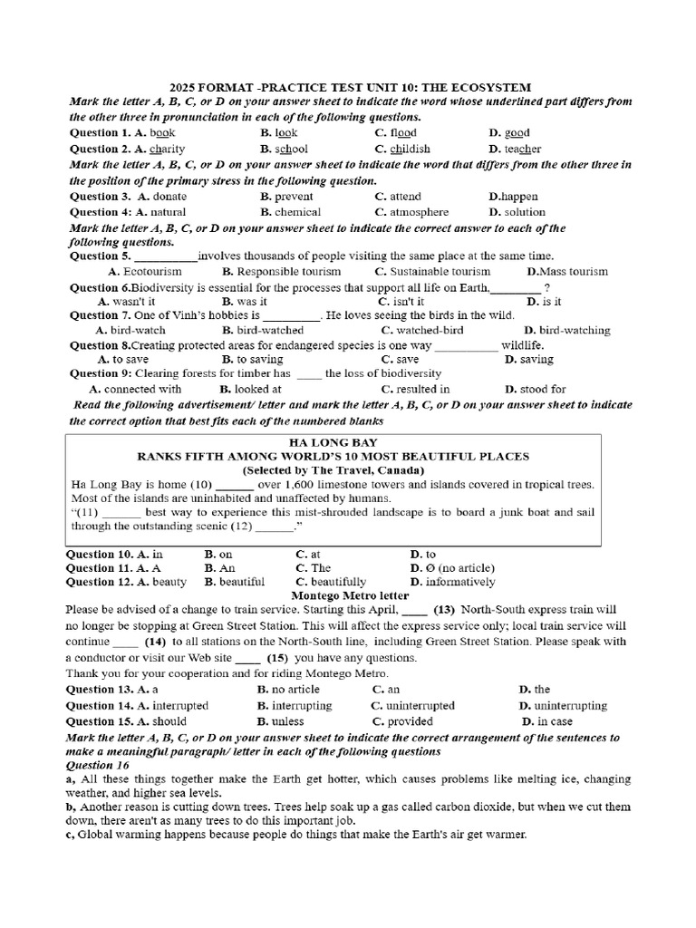 Unit 10 Anh 11 | PDF
