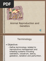 Duck Reproductive Anatomy Overview | PDF | Testicle | Ovary