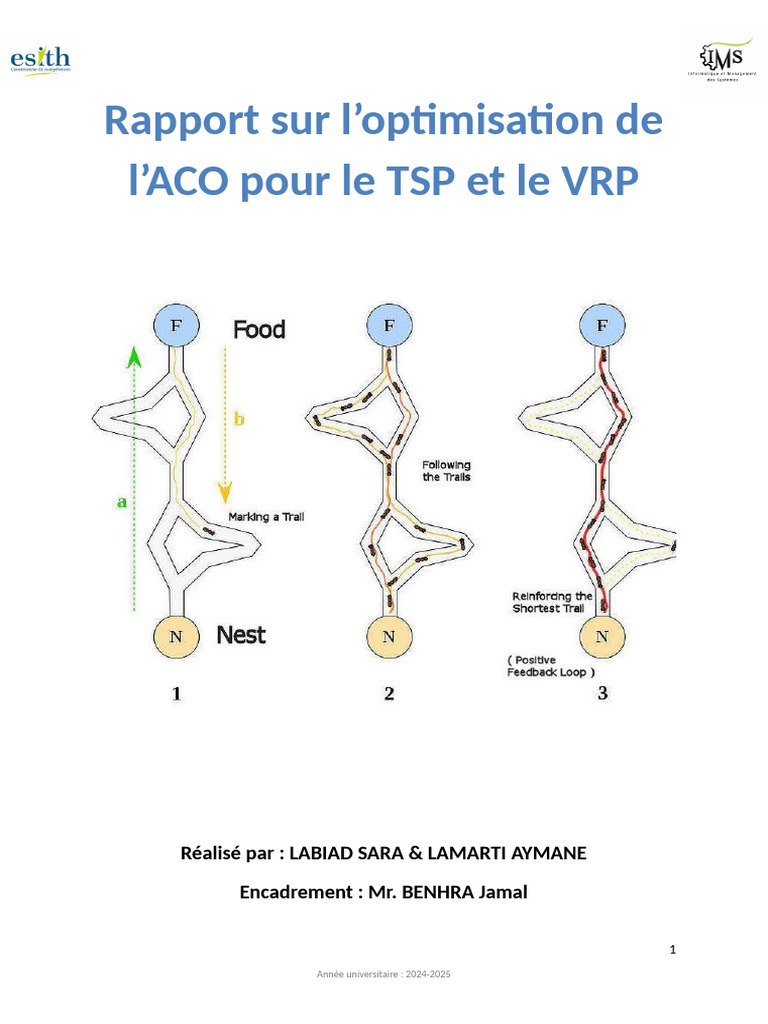 Optimisation ACO pour TSP et VRP | PDF | Informatique | Mathématiques ...