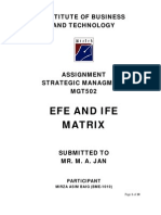 Efe and Ife Matrix: Institute of Business and Technology