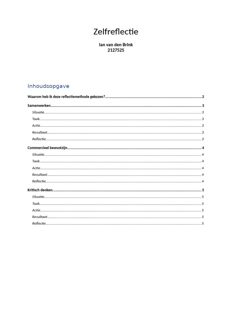 Zelfreflectie Ian Van Den Brink PDF
