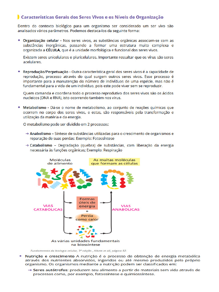 1º ano caracteristicas gerais dos seres vivos | PDF