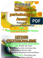 Perhubungan Awam - Profesionalisme