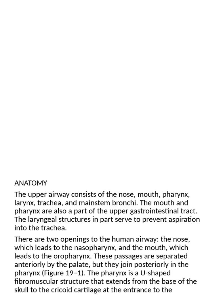 Upper Airway Anatomy and Management | PDF | Larynx | Vagus Nerve