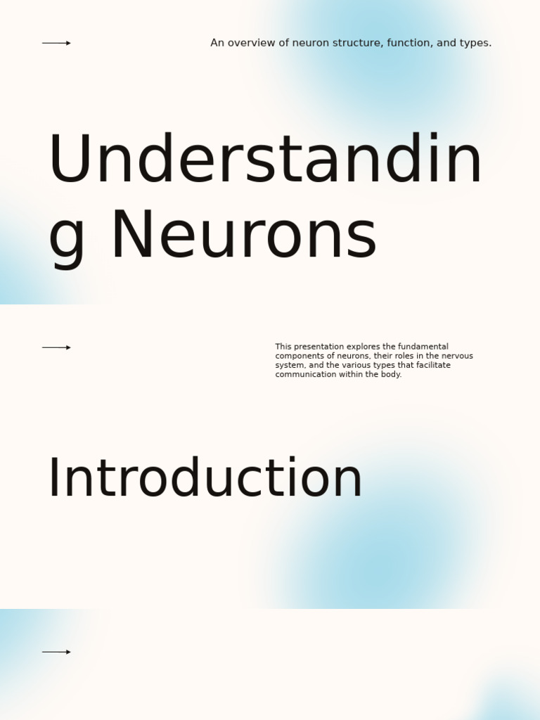 Neuron Structure and Function Overview | PDF | Neuron | Action Potential