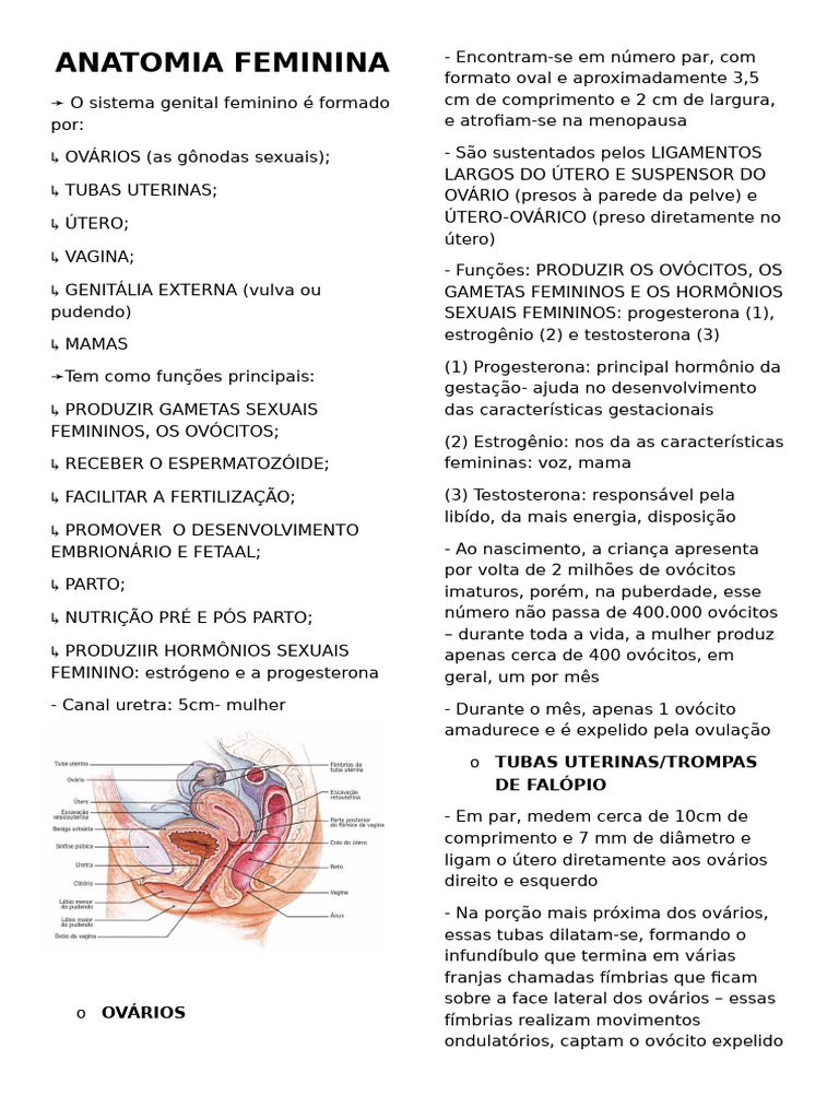 Anatomia do Sistema Genital Feminino | PDF | Pélvis | Vagina