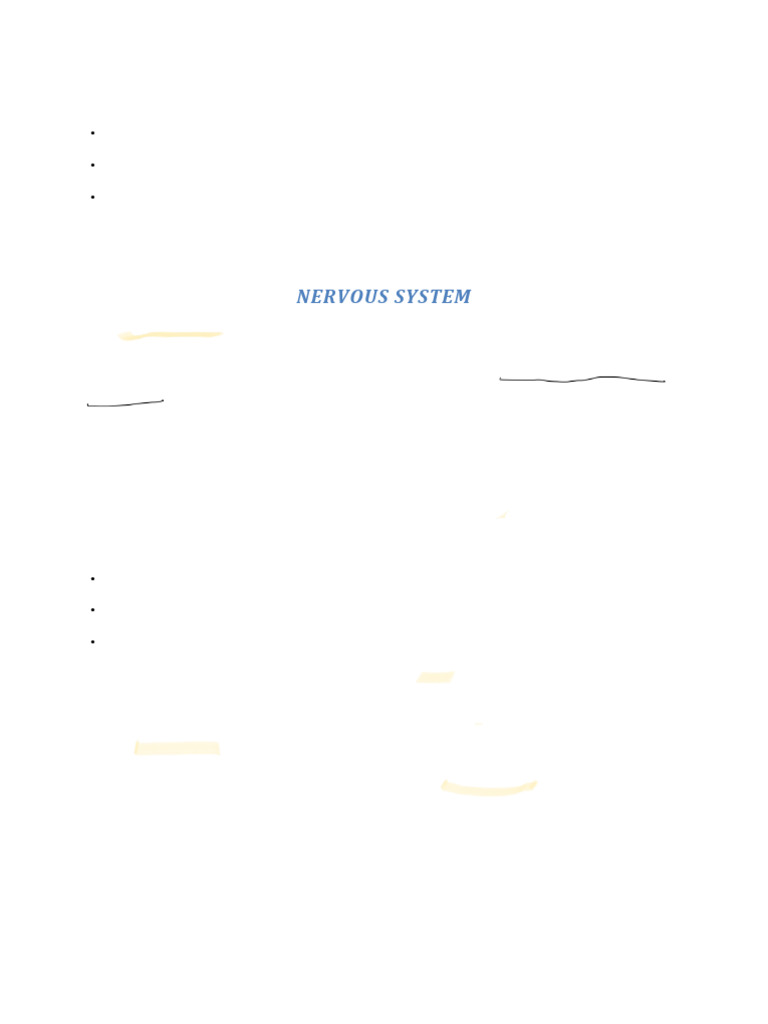 Understanding Neurons and Neurotransmitters | PDF | Neuron ...