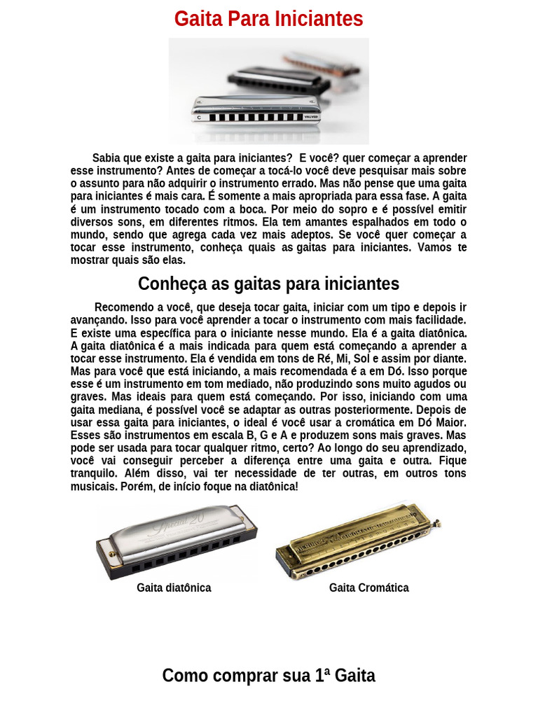 Guia de Gaita para Iniciantes | PDF | Gaita de Boca | Musicologia