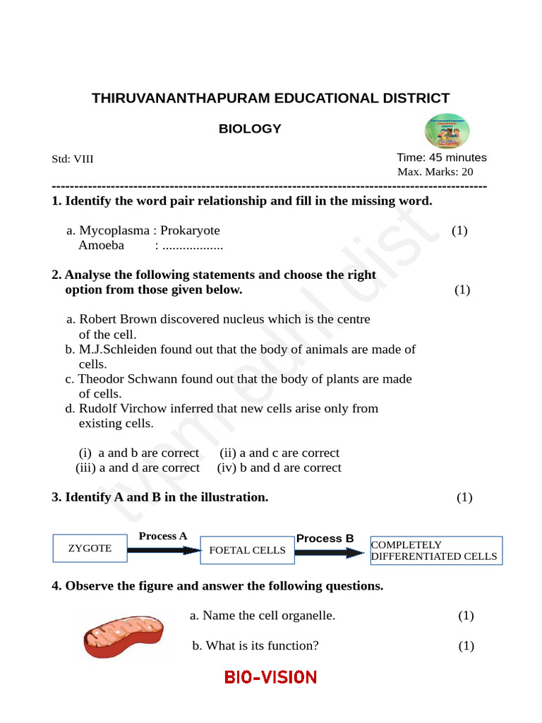Class 8 Biology: Bio-Vision Exercises | PDF | Cell (Biology) | Cell Nucleus