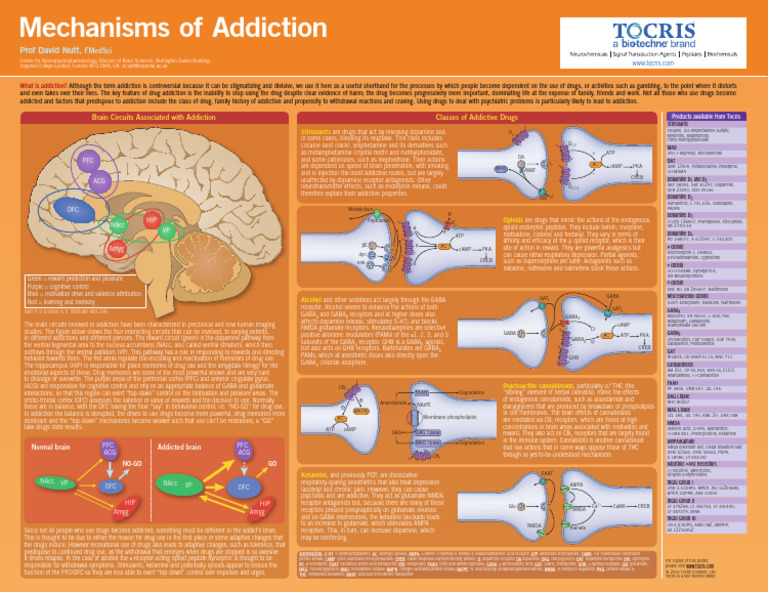 Estou Compartilhando o Arquivo 'Addiction-Poster-2016' Com Você | PDF ...