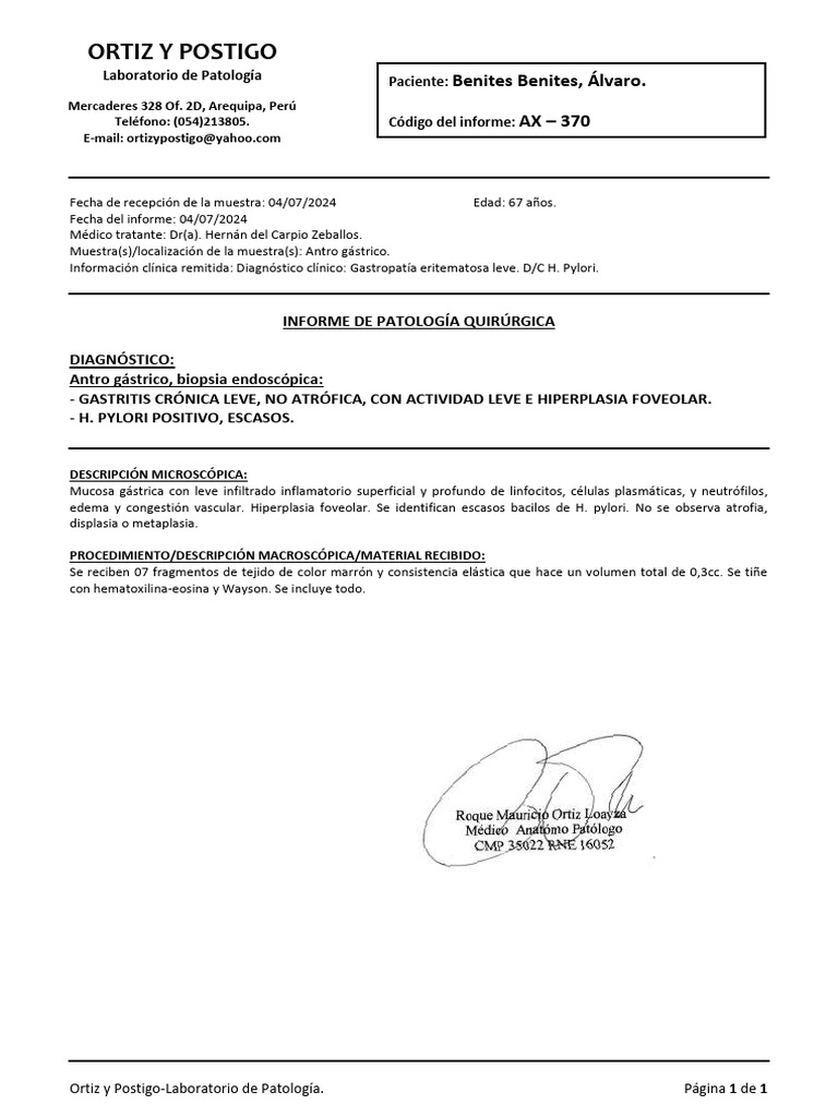 Benites Benites, Álvaro AX 370 | PDF