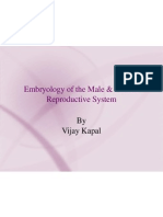 Embryology of The Male & Female Reproductive System: by Vijay Kapal