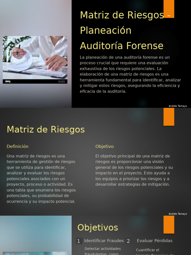 Matriz de Riesgos en Auditoría Forense | PDF | Riesgo | Auditoría