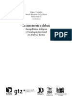 No Indigena y Estado Plurinacional en Latioamerica