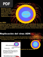 Download Clase de Virus by QUIMICO CLINICO WILLIANS SANCHEZ SN8550337 doc pdf