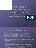 Adaptations To Resistance Training in The Elderly