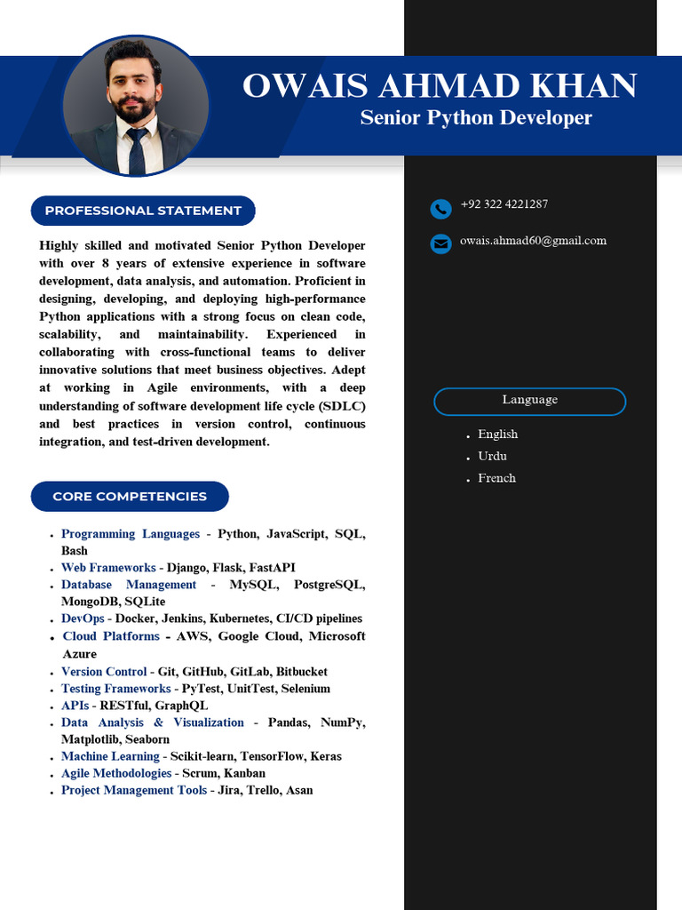 Senior Python Developer Profile | PDF | Software Development | Python ...