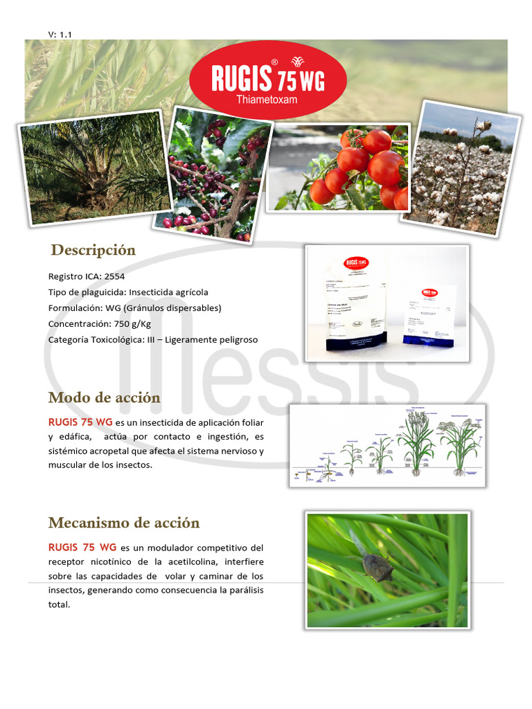 RUGIS 75 WG: Insecticida Eficaz y Seguro | PDF | Suelo | Solubilidad