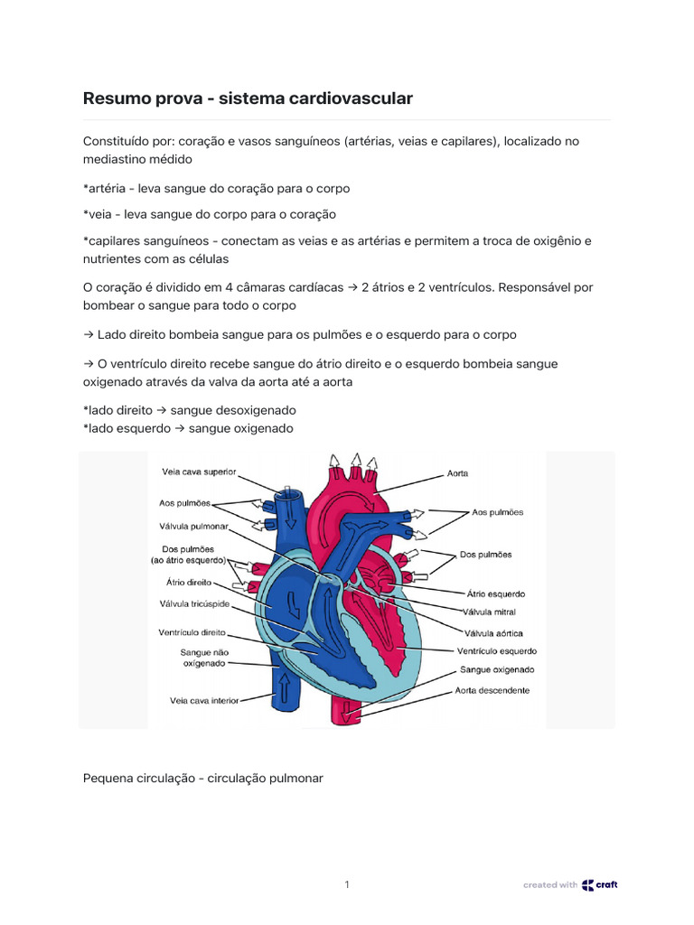Resumo do Sistema Cardiovascular | PDF | Átrio (coração) | Coração