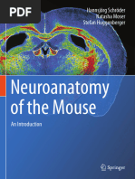 An Introduction To Resting State FMRI Functional Connectivity