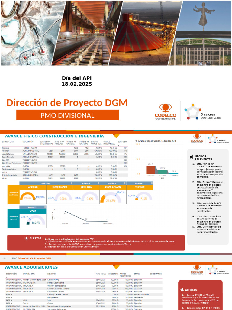 Dia Del API 18.02.2025 RevB | PDF
