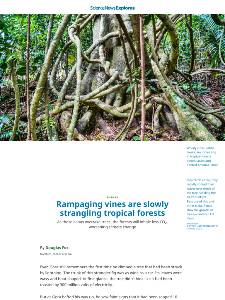 Lianas: Threats to Tropical Forests | PDF | Trees | Forests