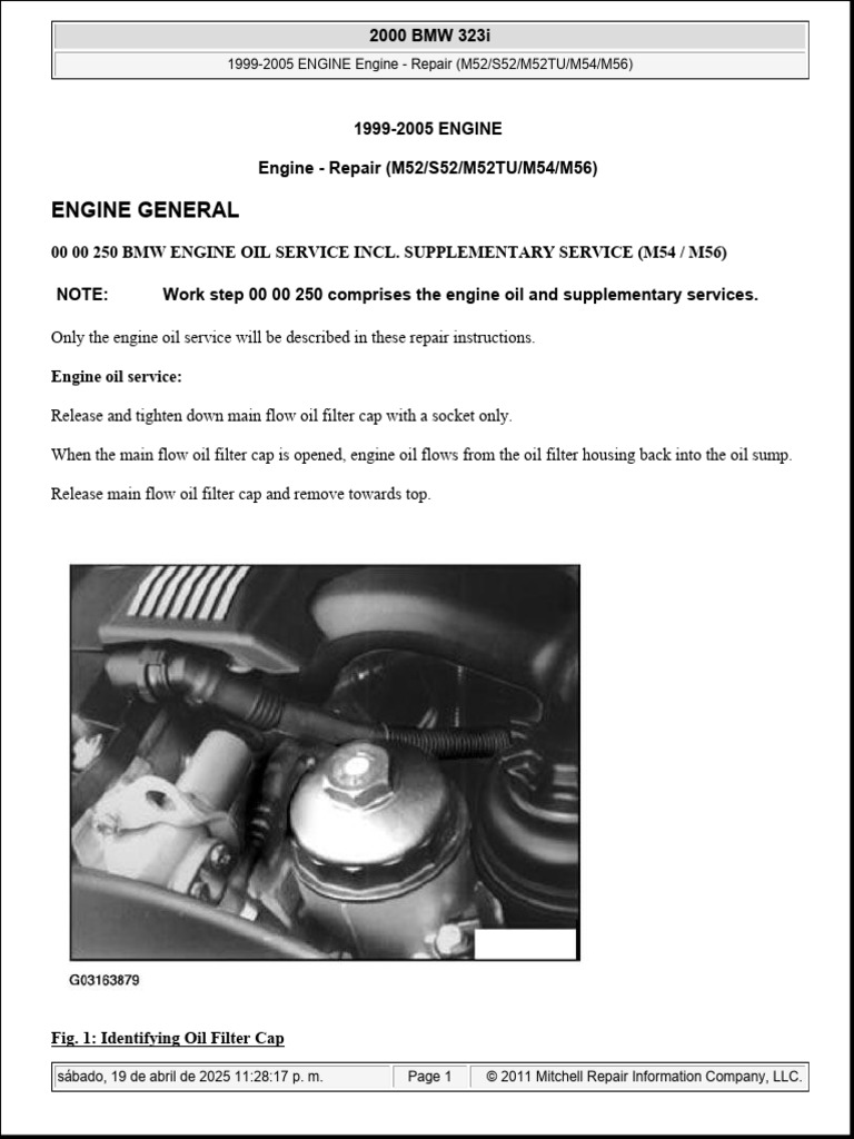 Engine General: 00 00 250 BMW Engine Oil Service Incl. Supplementary Service (M54 / M56) | PDF ...