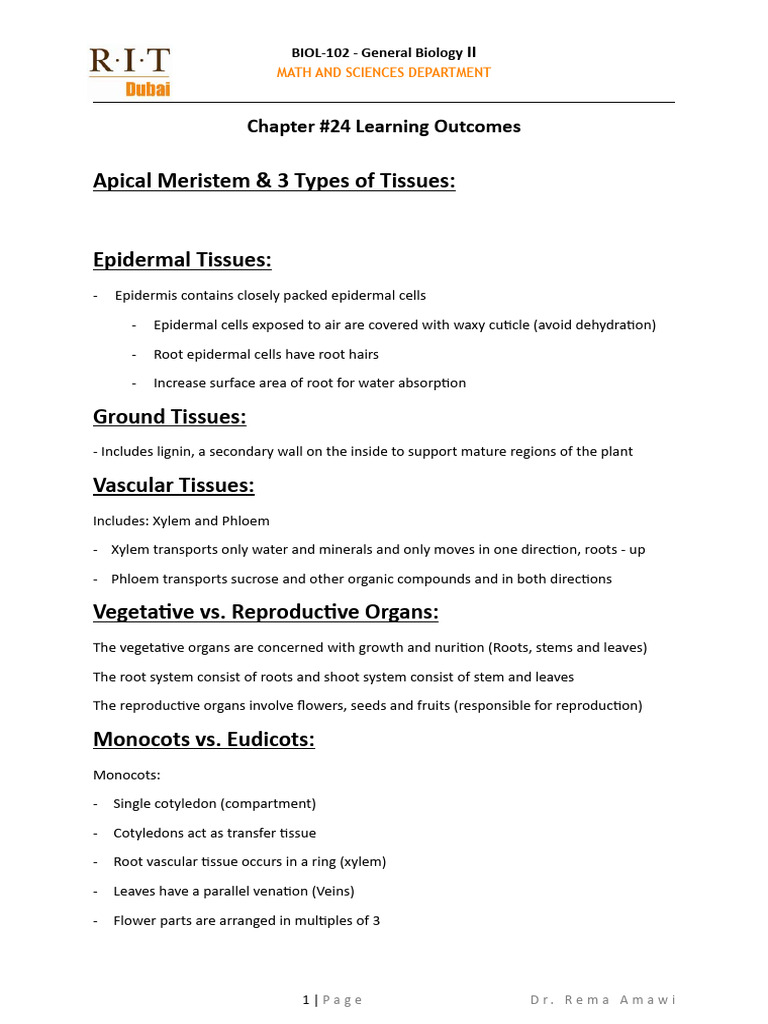 plant-tissues-and-root-functions-explained-pdf-leaf-root
