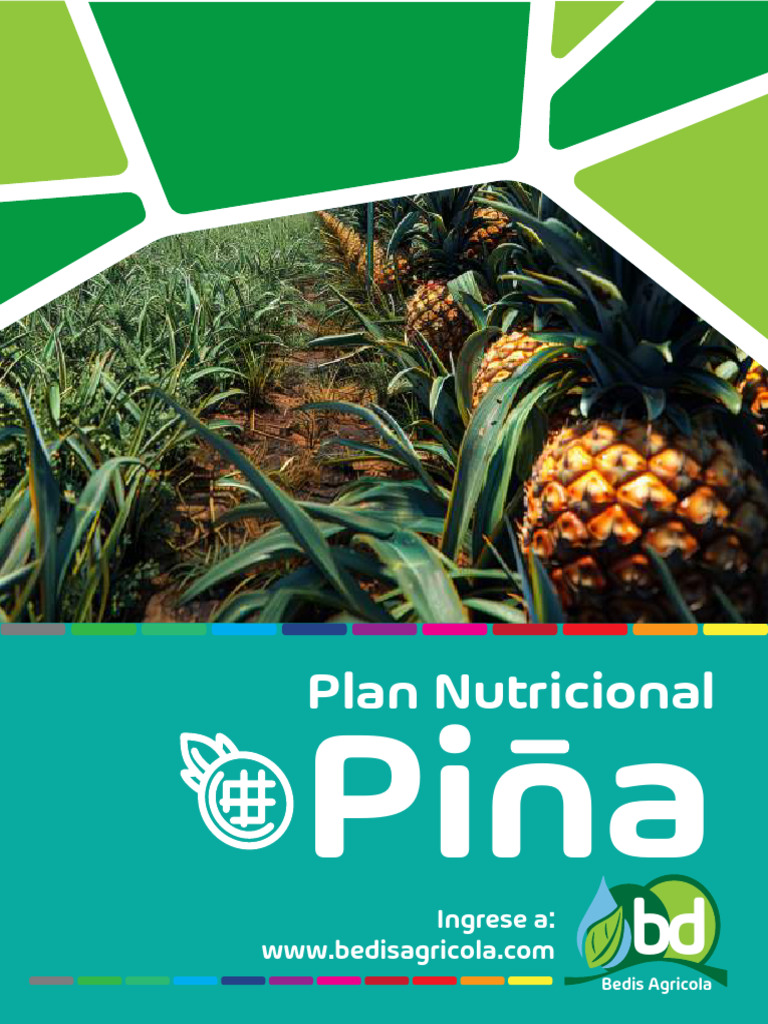 Fertilizantes Foliares para Piña | PDF | Fertilizante | Nutrición