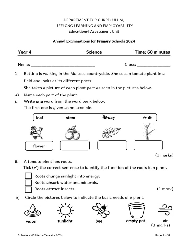 Year 4 Science Exam Paper 2024 | PDF | Planets | Plants