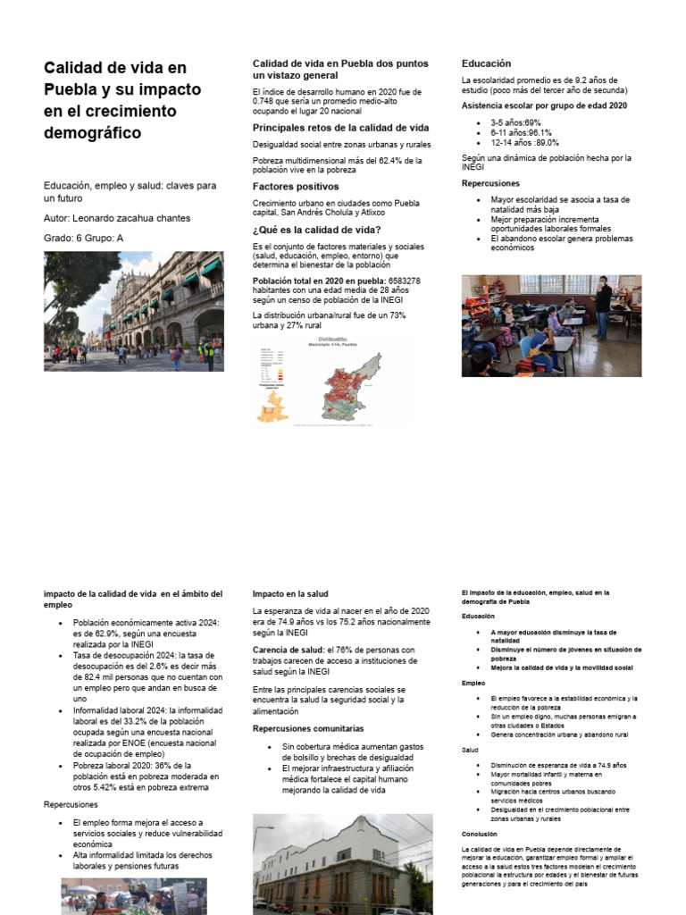 Calidad de Vida y Crecimiento en Puebla | PDF | Pobreza | Pobreza e ...
